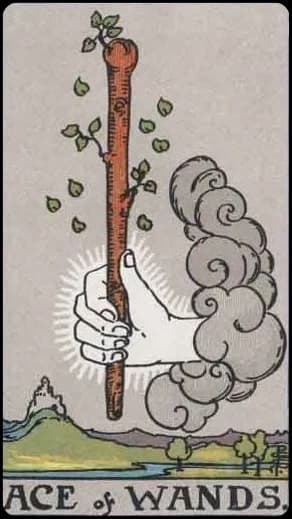 Ace of Wands